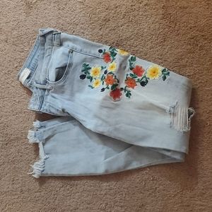 Floral Embroidered Skinny Jeans